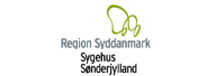 Region Syddanmark